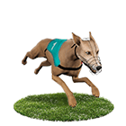 優惠娛樂城白金賽狗 優惠娛樂城白金賽狗